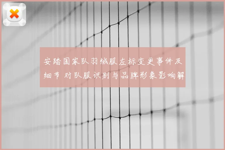 安踏国家队羽绒服左标变更事件及细节 对队服识别与品牌形象影响解读