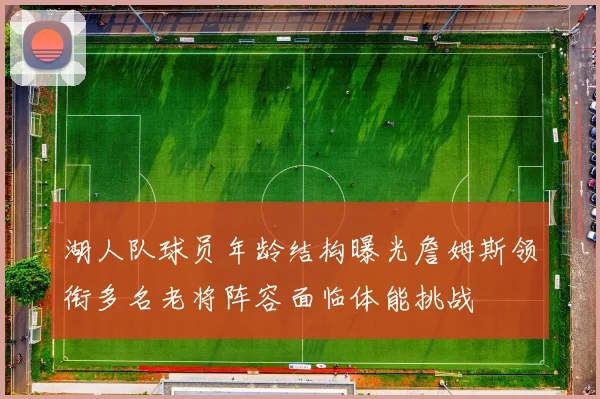 湖人队球员年龄结构曝光詹姆斯领衔多名老将阵容面临体能挑战