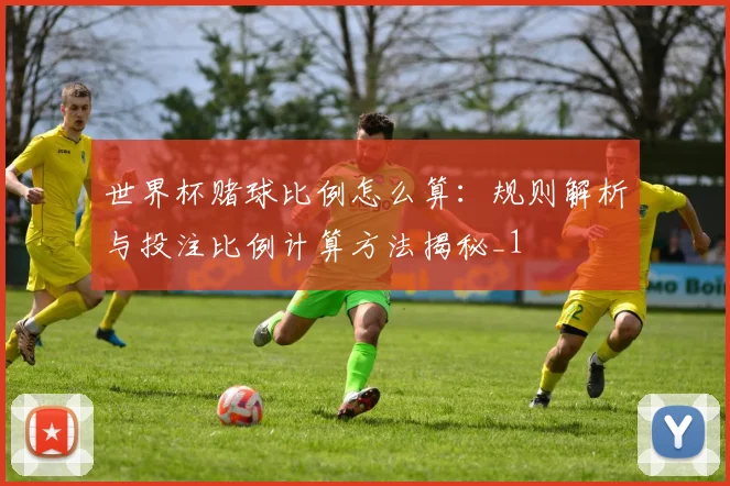 世界杯赌球比例怎么算：规则解析与投注比例计算方法揭秘_1