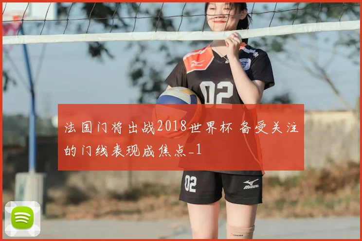 法国门将出战2018世界杯 备受关注的门线表现成焦点_1