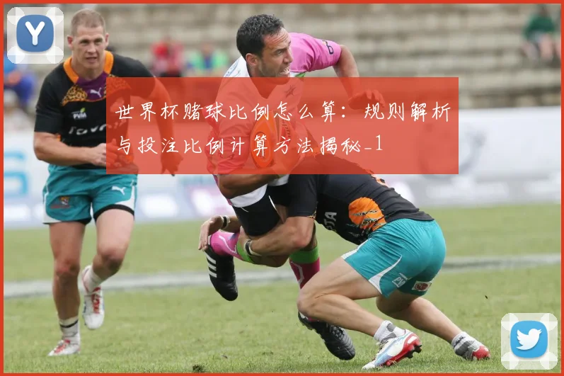 世界杯赌球比例怎么算:规则解析与投注比例计算方法揭秘_1