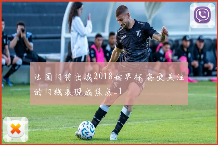法国门将出战2018世界杯 备受关注的门线表现成焦点_1