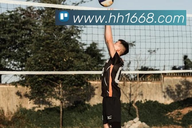 球盟体育官方网站服务体系